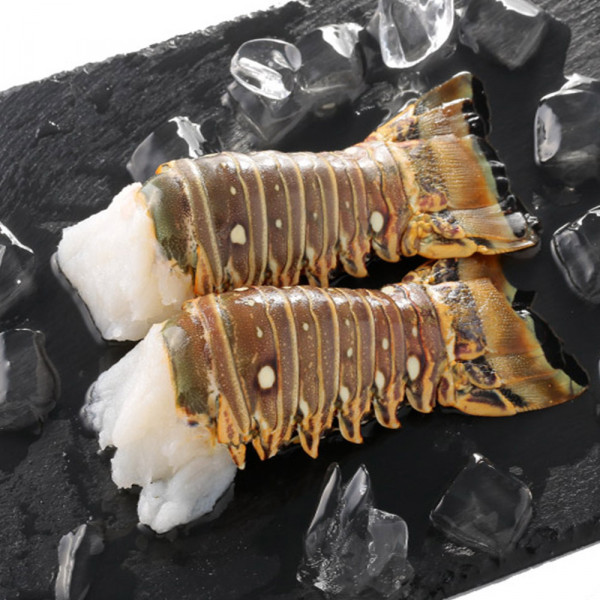 野生頂級龍蝦身(170g/尾)