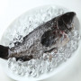 青斑石斑魚(400-480g/尾)