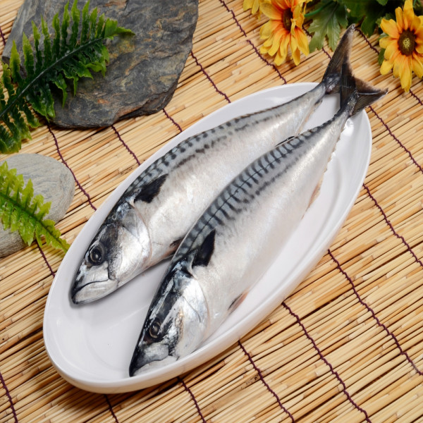 挪威鯖魚(500-550g/包/整尾)