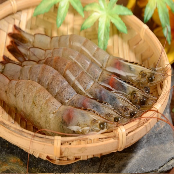 特大白蝦(600g/10-12尾/盒)