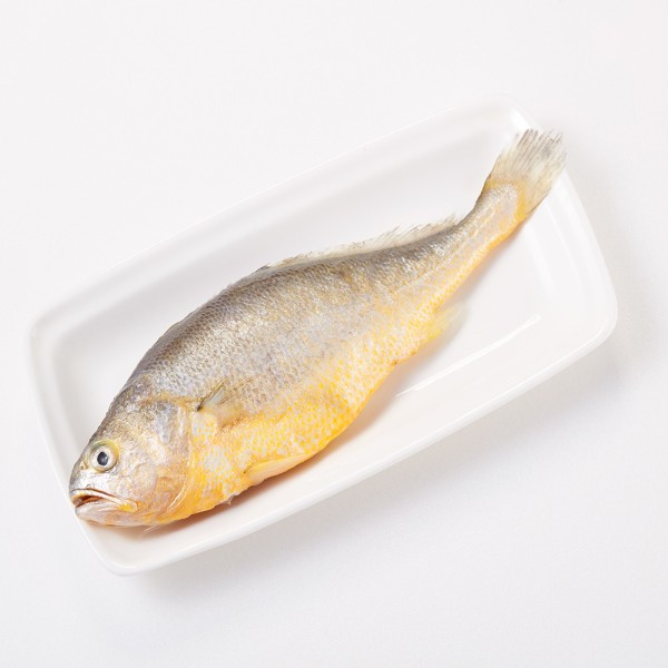 鮮嫩黃魚1尾(220g/包)