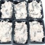 蝦仁魚漿400g