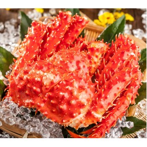 熟凍帝王蟹1隻(1200-1300g/隻)