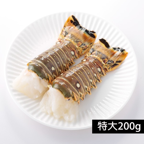 野生頂級特大龍蝦身200g