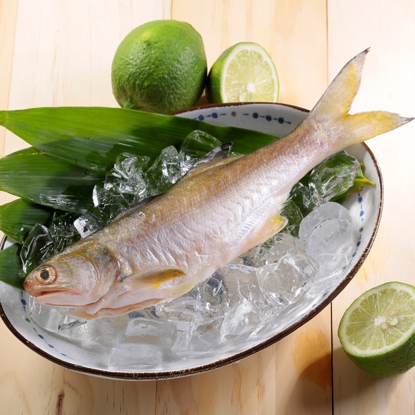 新鮮午仔魚(150~200g/尾)