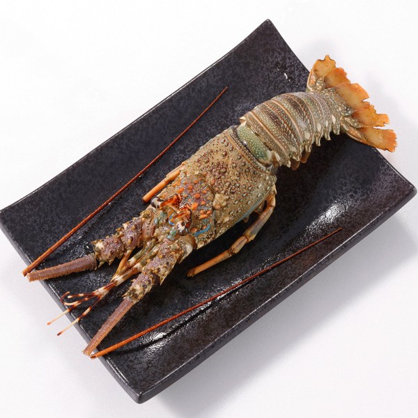 野生大龍蝦(200-250g/包)