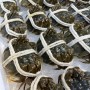 單獨下單 不可以合併*冷藏【華得水產】活蟹直送 江蘇大閘蟹(母 1隻_3.3-4兩/隻) 10月13-15日出貨