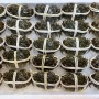 單獨下單 不可以合併*冷藏【華得水產】活蟹直送 江蘇大閘蟹(母 1隻_3.3-4兩/隻) 10月13-15日出貨