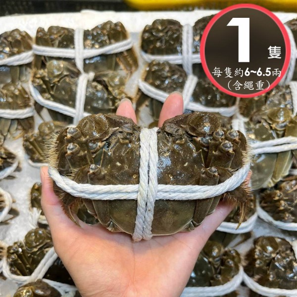 單獨下單 不可以合併*冷藏【華得水產】活蟹直送 江蘇大閘蟹(公 1隻_6-6.5兩/隻)