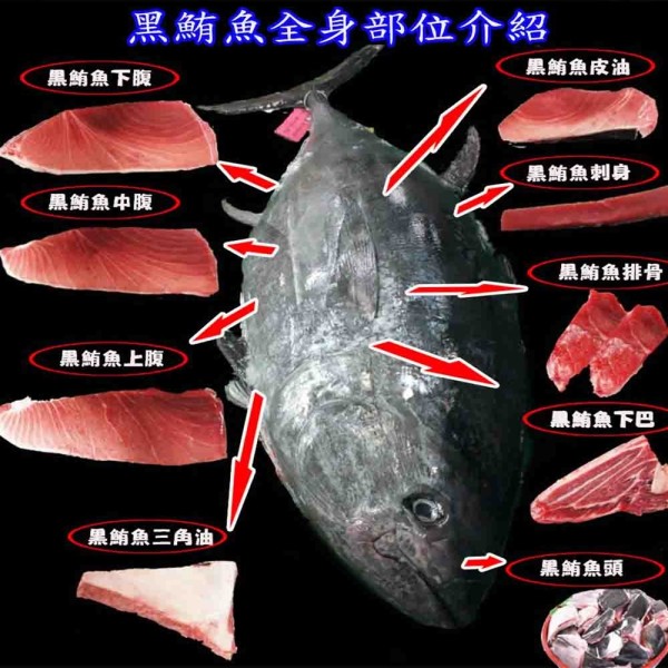 黑鮪魚代工