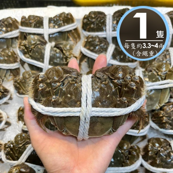 單獨下單 不可以合併*冷藏【華得水產】活蟹直送 江蘇大閘蟹(母 1隻_3.3-4兩/隻) 10月13-15日出貨