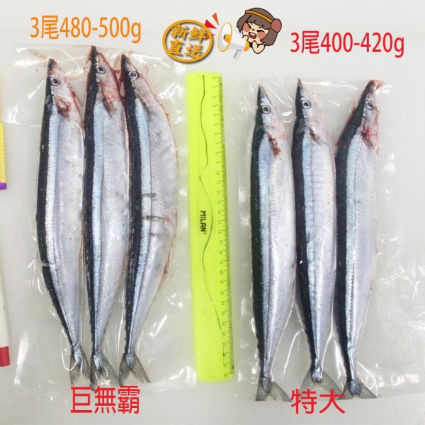 台灣野生(巨無霸)秋刀魚1包(480-500g 約3尾/包)
