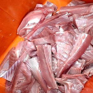 東港鮪魚碎肉原物料(飯湯)